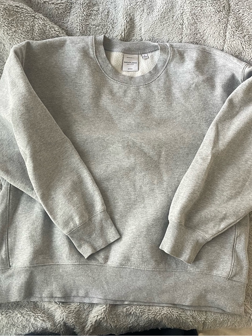 Aritzia Light Gray Crewneck Sweatshirt